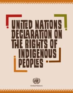 UNDRIP cover image